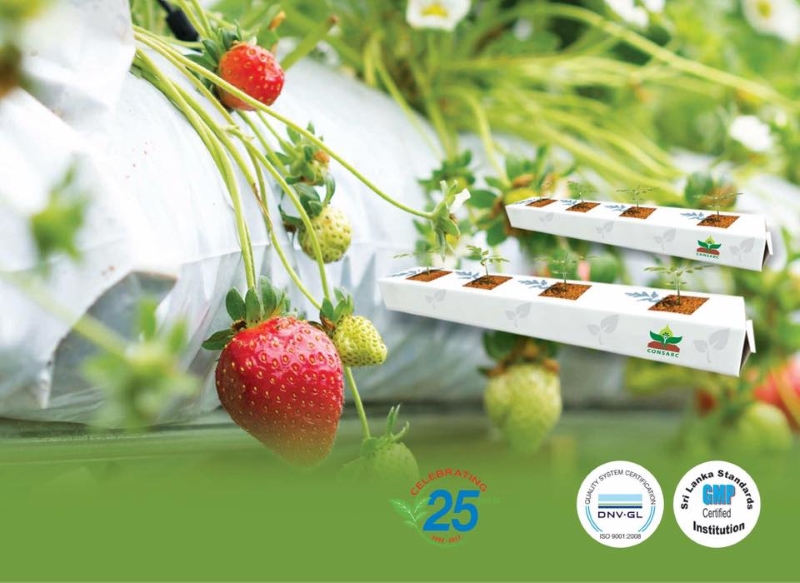 Product Details Cocopeat Grow Bags