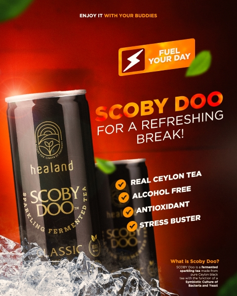Soby Tea Product Details: SCOBY DOO is a fermented sparkling tea made from pure ...