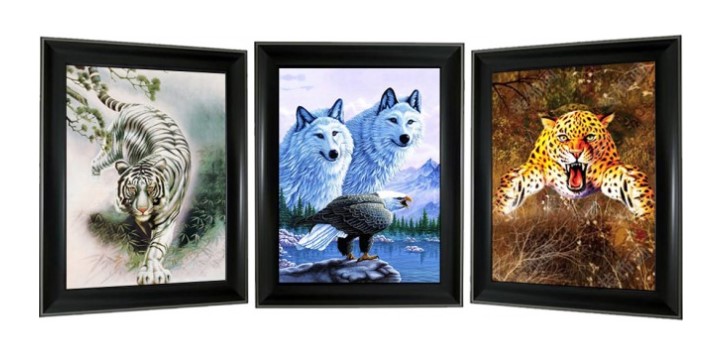 Product Details: 3D Lenticular picture w/ frame