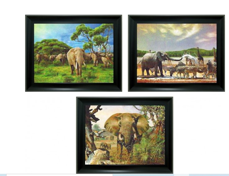 Product Details: 3D Lenticular picture w/ frame