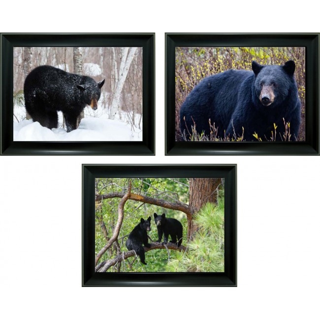 Product Details: 3D Lenticular picture w/ frame