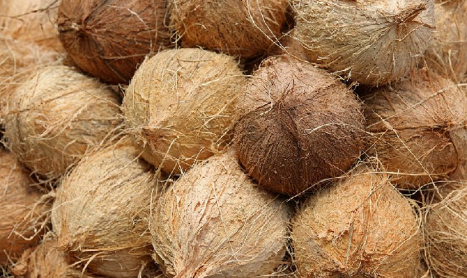 Product Details: Semi Husk Coconut