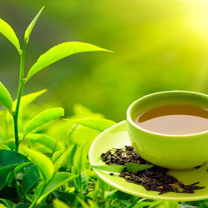 Find finest tea from cord360.com online B2B e-platform